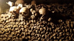 The Parisian Catacombs