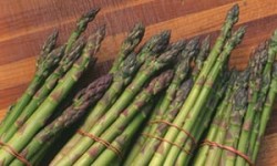 Spread of breast cancer linked to compound in asparagus and other foods | Science | The Guardian