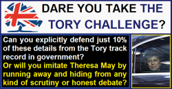 The Tory challenge