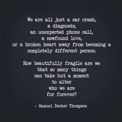 How beautifully fragile we are