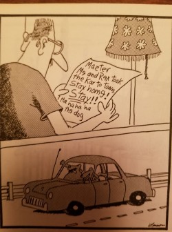 Gary Larson rocks