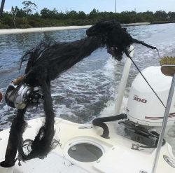 Fishing rod hit by lightning