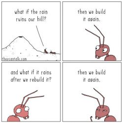 Never give up