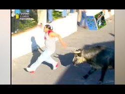 Ozzyman commentates – People fucked up by bulls