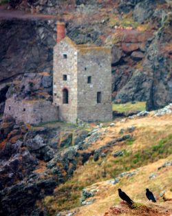 Choughs and Tin Mines.
Ultimate Cornwall