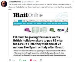 Brexidiots