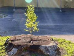 No matter what happens in life; you can always start over.
