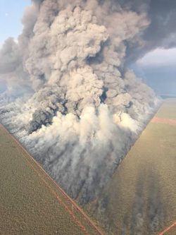 Australian fire breaks in action