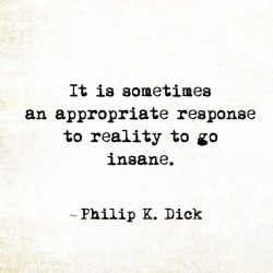 Sometimes the appropriate response to reality is to go insane