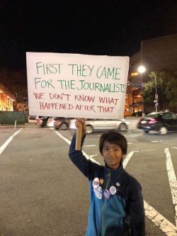 First they came for the journalists