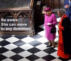 The Queen can move wherever she pleases, but the bishop is going to have move diagonally for thi ...