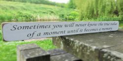 Sometimes you will never know the value of a moment until it becomes a memory