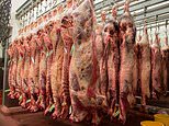 Belgium bans halal and kosher slaughter methods which see animals killed without being stunned first
