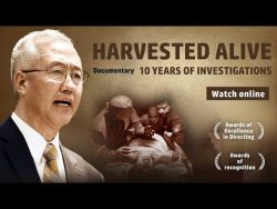 Harvested alive -10 years investigation of Force Organ Harvesting