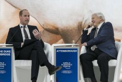 Davos 2019: Record number of private jets set to fly into conference addressing climate change