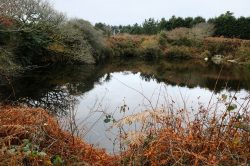 Cornwall secret wild swimming spot sells for a staggering amount