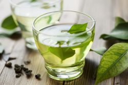 Green tea cuts obesity, health risks in mice
Follow-up study in people underway