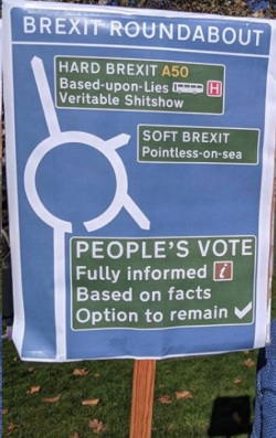 Best Brexit Placard so far?