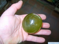 Valonia ventricosa, the largest single-celled organism on earth. Yep, this is a single living cell.