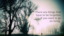 There are things that have to be forgotten if you want to go on living.