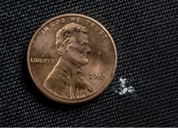 A lethal dose of fentanyl.