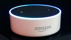 Amazon staff listen to Alexa recordings and put them in chat rooms