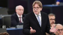 ‘Their first decision was to go on holiday’: EU’s Verhofstadt fears UK will wa ...