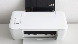 Science less than a decade away from fully operational printer