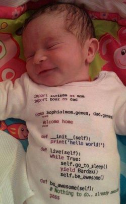 When 2 web developers have a baby