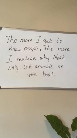The more I get to know people, the more I realise why Noah only let animals on the boat