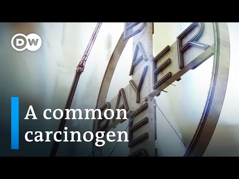 Turning toxic – The Bayer-Monsanto merger | DW Documentary