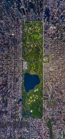 Central Park, NY