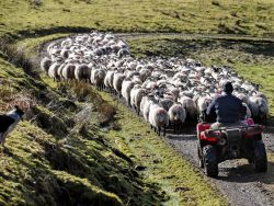 Farmers to be given £3bn funding to safeguard against Brexit

🤔 So, which benefit of Brexit is t ...