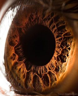 Close up of a human eye