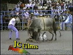 The bull wins compilation, AKA morons lose big time