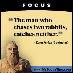 The man who chases two rabbits, catches neither