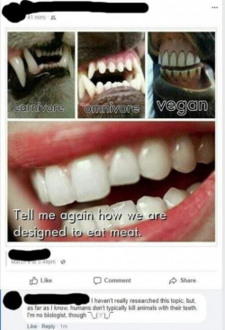 Morons everywhere