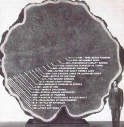 Timeline of a tree
