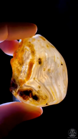 These Agates contain water that was trapped inside as they formed millions of years ago in Brazil.