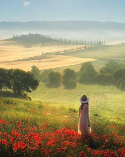 Tuscany in the Spring
