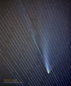 SpaceX Satellites Ruin Photographer’s Shots of Comet NEOWISE