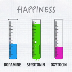 All our feelings are based on these three chemicals interaction