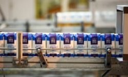 Brexit backers Tate & Lyle set to gain £73m from end of EU trade tariffs