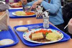 Cornish MPs defend votes against plans to extend free school meals into half term and Christmas  ...