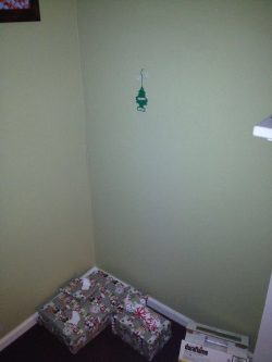 Tree’s up