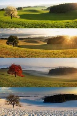 Seasons