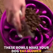 :D Slow eating dog bowls / unexpected