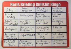 Boris bullshit bingo