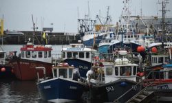 Defra sets up £23m fund for UK seafood exporters hit by Brexit