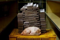 The amount of money you need to buy a 5 pound chicken in Venezuela. 14,600,000 bolivars  $8USD